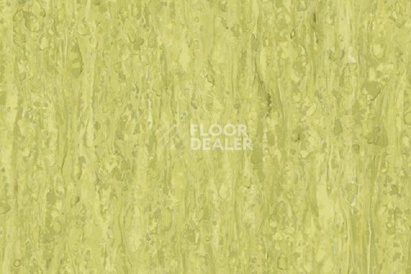 Линолеум TARKETT iQ Optima Yellow Green 0254  фото 1 | FLOORDEALER
